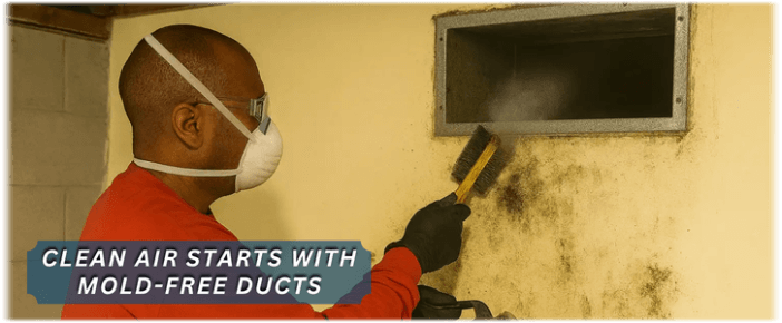 Air Duct Mold Removal in Hayward CA