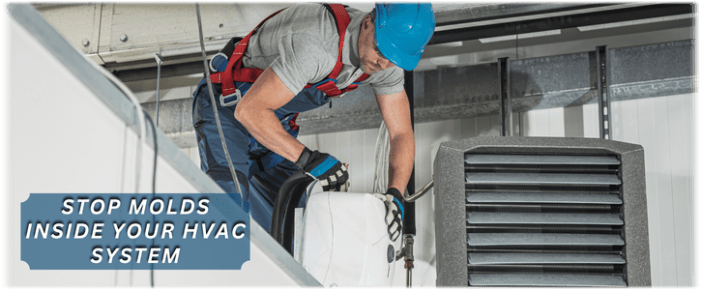 HVAC Mold Removal Hayward CA